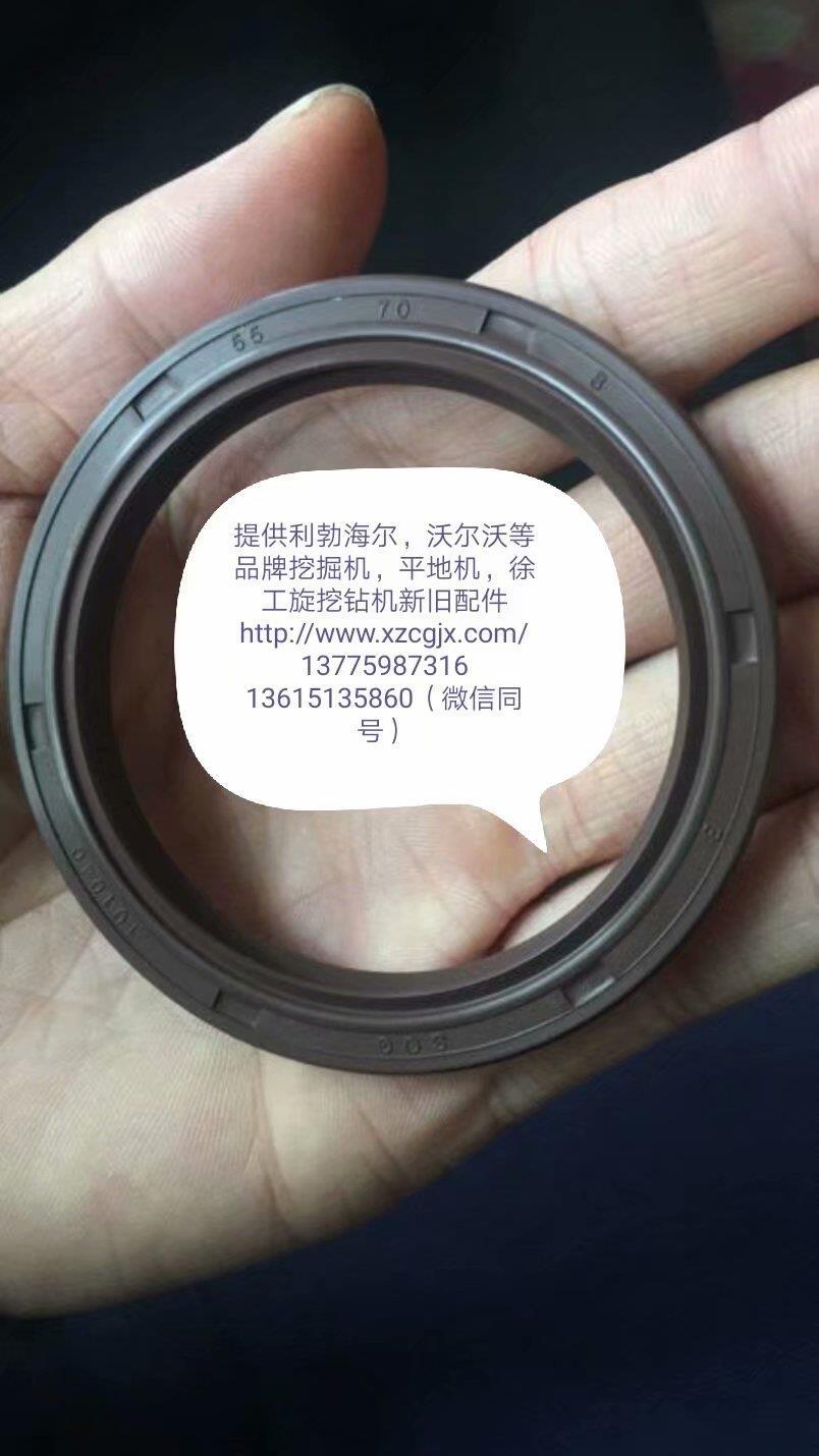 利渤海尔934行走马达骨架油封