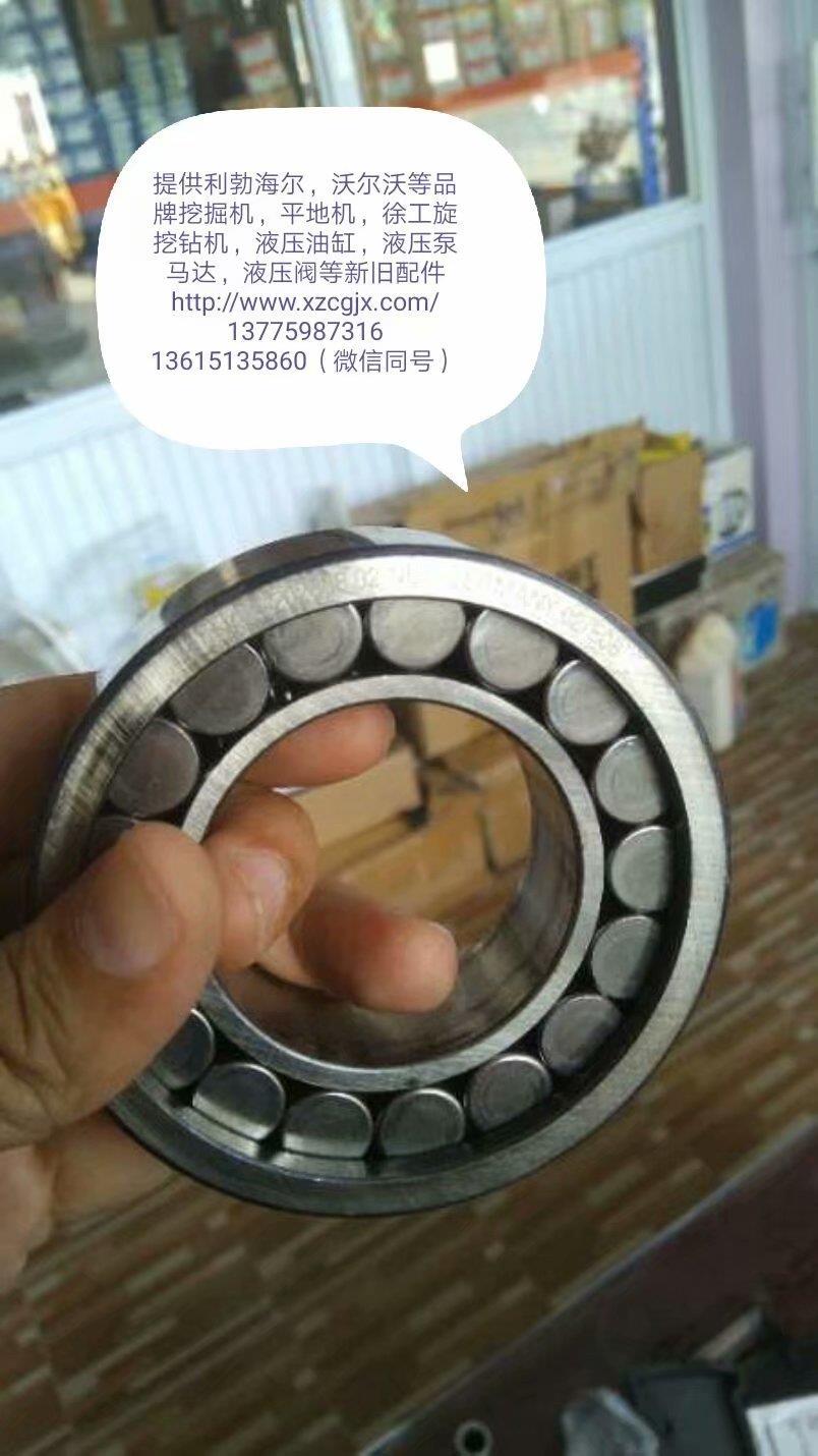 利渤海尔934B回转立轴轴承